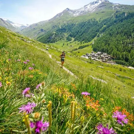 Belle Paradis - Mont Blanc Getaway Mont Blanc Views Chamonix